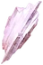 Image11