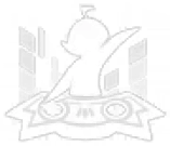 Image22