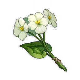 Image17