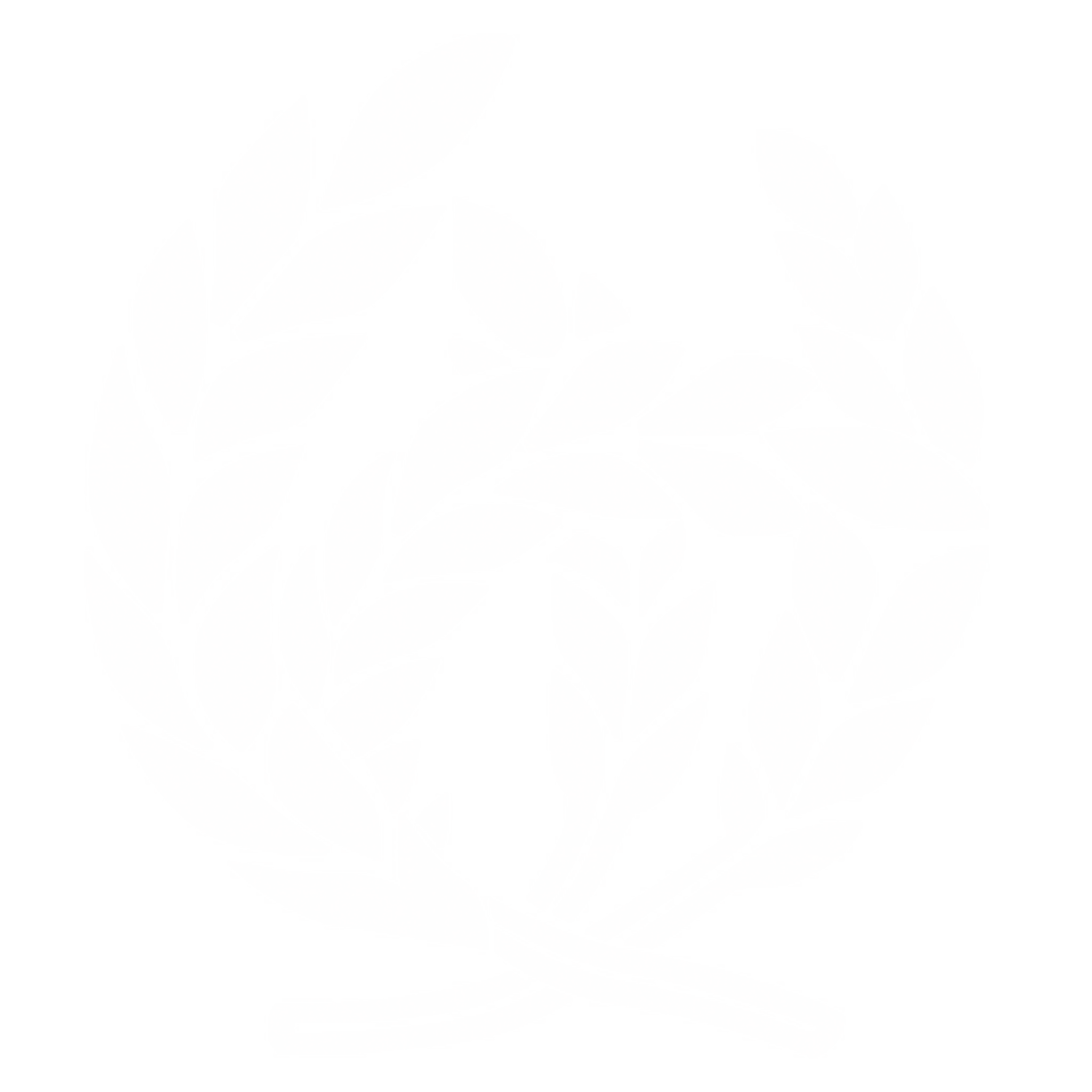 Image14