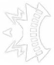 Image25