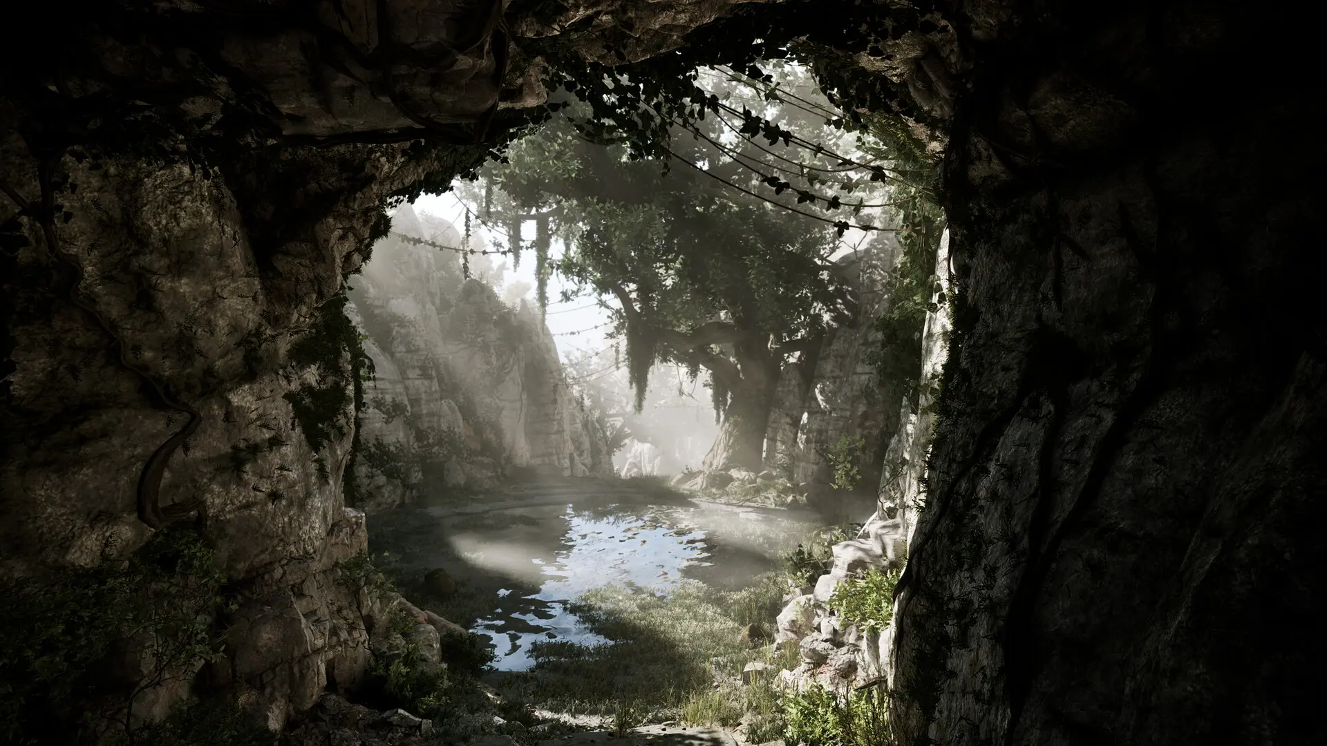 Image1